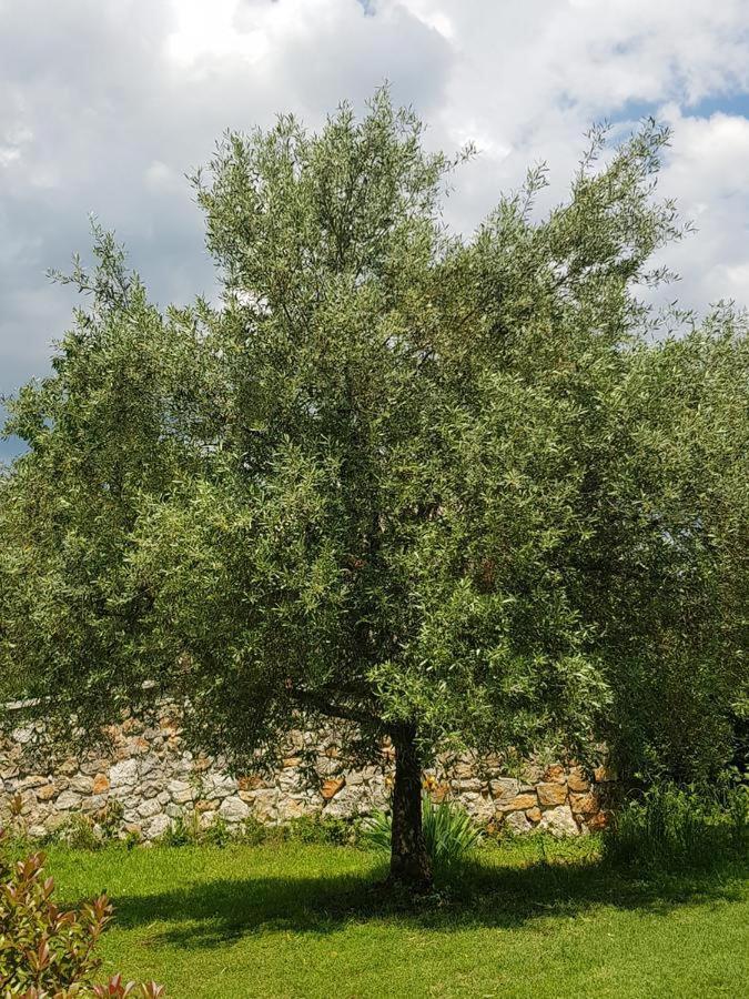 Apartmani Adria Opatija Eksteriør billede